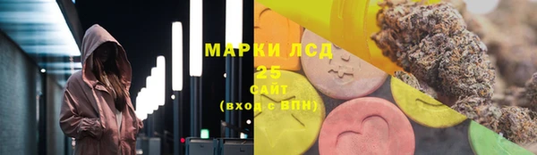 прущие грибы Балабаново