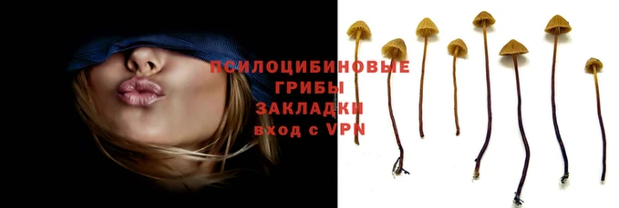 мескалин Армянск