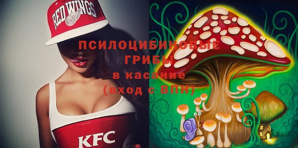 а пвп мука Арсеньев